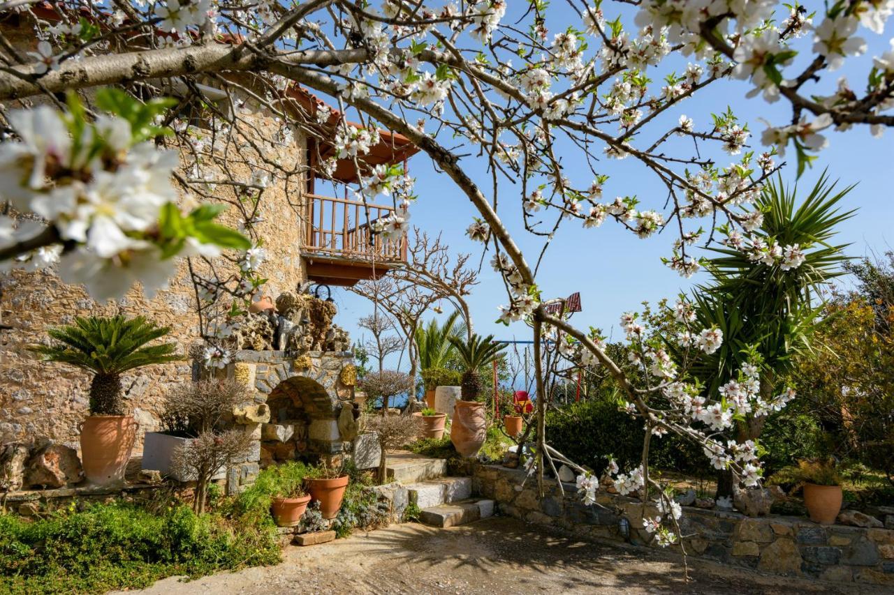Traditional Windmill-Milos Kroustas 外观 照片